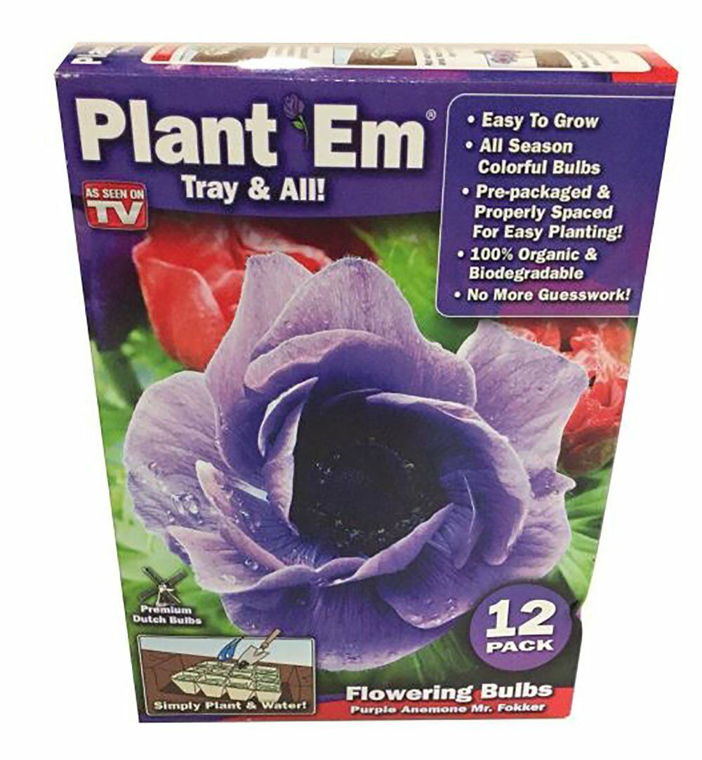 Details about 9 Pieces Purple Anemone Mr fokker Flower Bulbs- Plant Em  Tray & All Flower kit