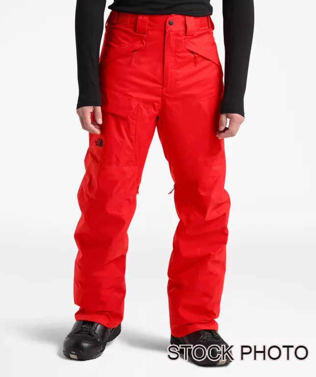 north face men's seymore pants