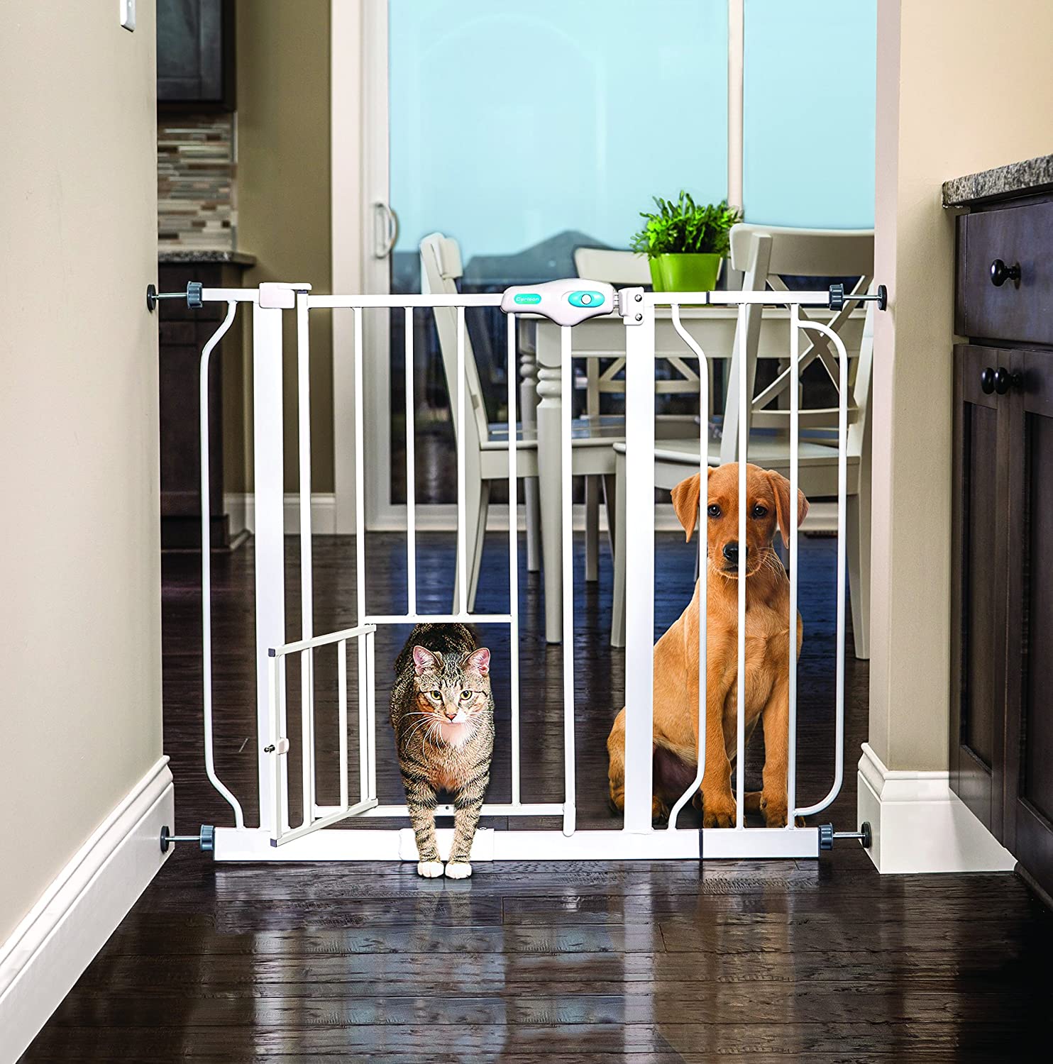 Animal gate shop with cat door